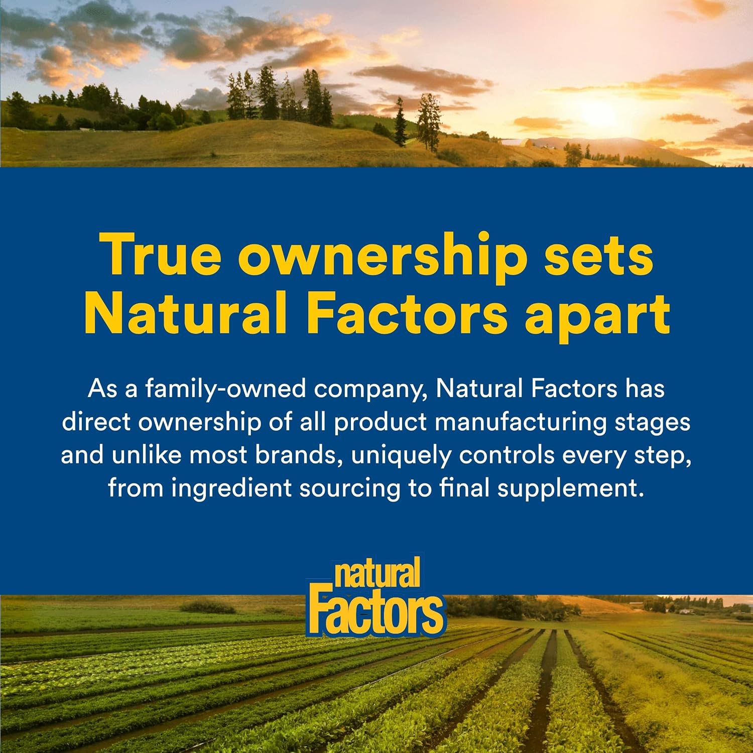 Natural Factors, Men's 50+ Multivitamin & Mineral, 1 Serving Contains Nutrition Equivalent to ½ lb of Veggies, 60 Count (Pack of 1)